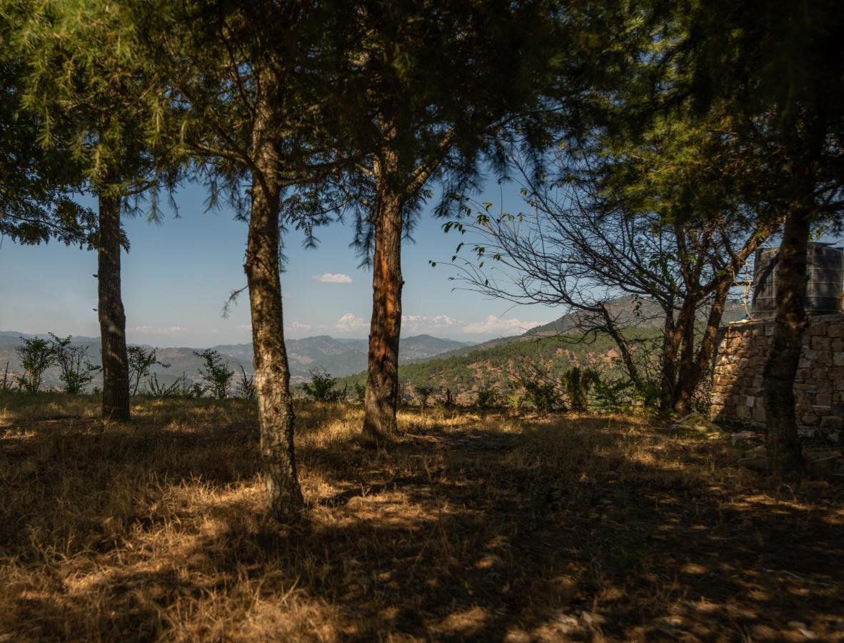 Blusalzz Homes - The Himalayan Bungalow, Almora - Uttarakhand ภายนอก รูปภาพ